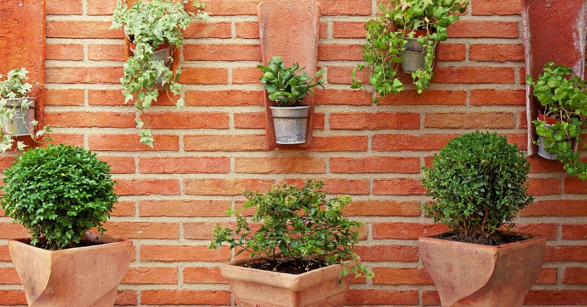 jardins verticais prontos onde comprar para seu apartamento de alto padrão Apartamento moderno com jardim vertical pronto na parede, trazendo frescor e elegância ao ambiente.