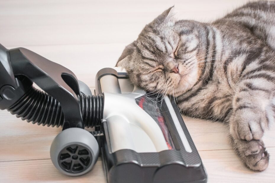 Descubra os melhores aspiradores de pó verticais potentes de 2025, com alta potência de sucção e eficiência para deixar sua casa impecável.