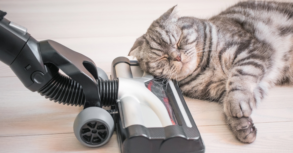 Descubra os melhores aspiradores de pó verticais potentes de 2025, com alta potência de sucção e eficiência para deixar sua casa impecável.