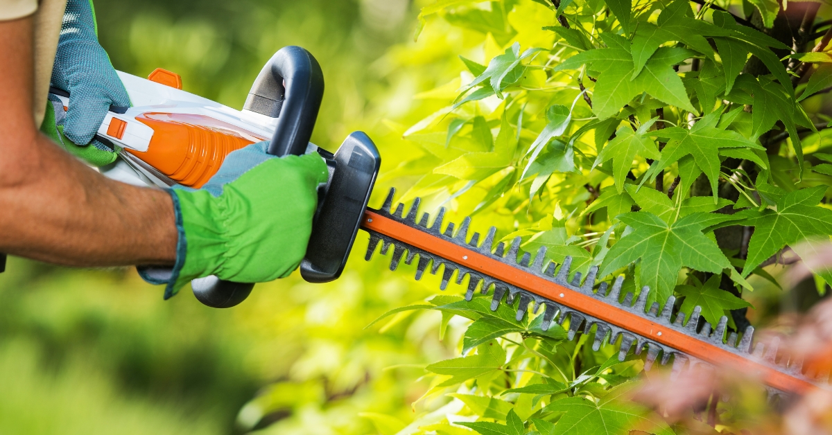 Dicas para usar o aparador de cerca viva, mantendo sua cerca viva bem cuidada e seu jardim impecável com facilidade.