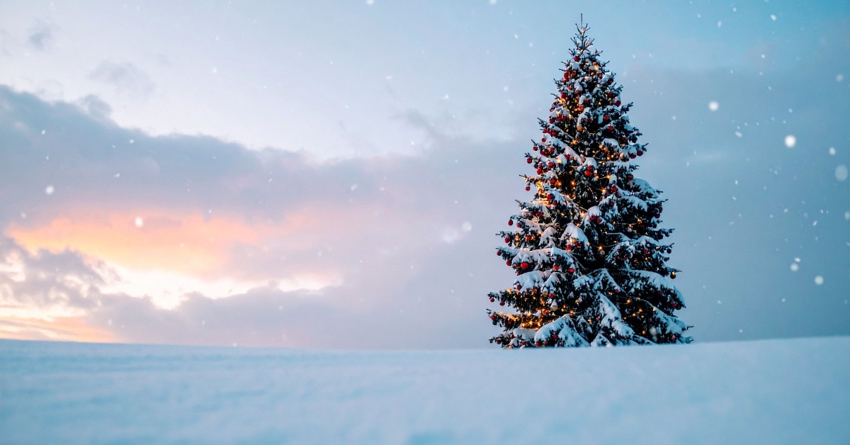 Decorar pinheiro de natal com luzes internas e Decoração de Árvore de Natal em camadas, enfeites equilibrados e topo elegante