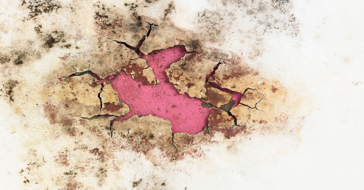 Parede branca sendo tratada com solução antifúngica profissional, ilustrando o processo de como tirar mofo da parede sem danificar a pintura.