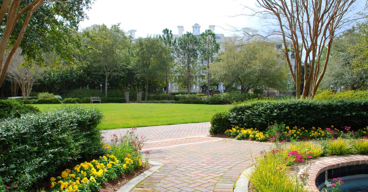 Jardim pequeno e simples com plantas fáceis, baixo custo e design funcional, ideal para casas e apartamentos com pouco espaço.